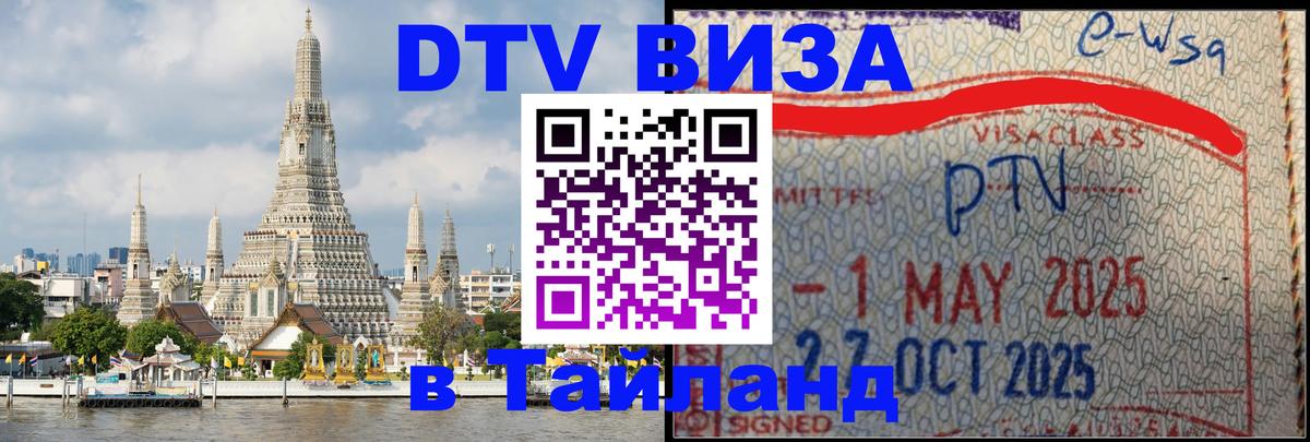 Оформление DTV визы под ключ: стоимость и тарифы, только загранпаспорт - Волгоград 